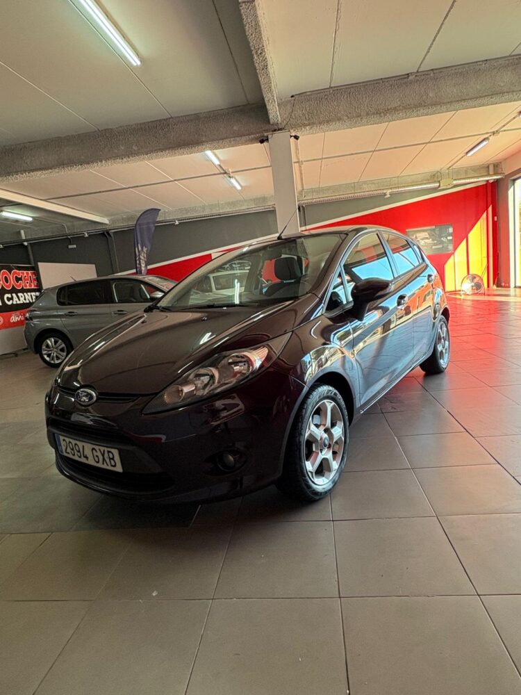 FORD FIESTA 1.4 TDCI 70CV